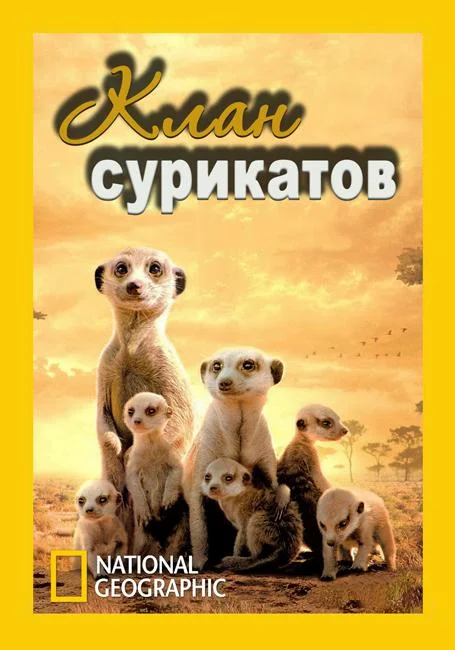 Постер к National Geographic. Клан сурикатов (2010)