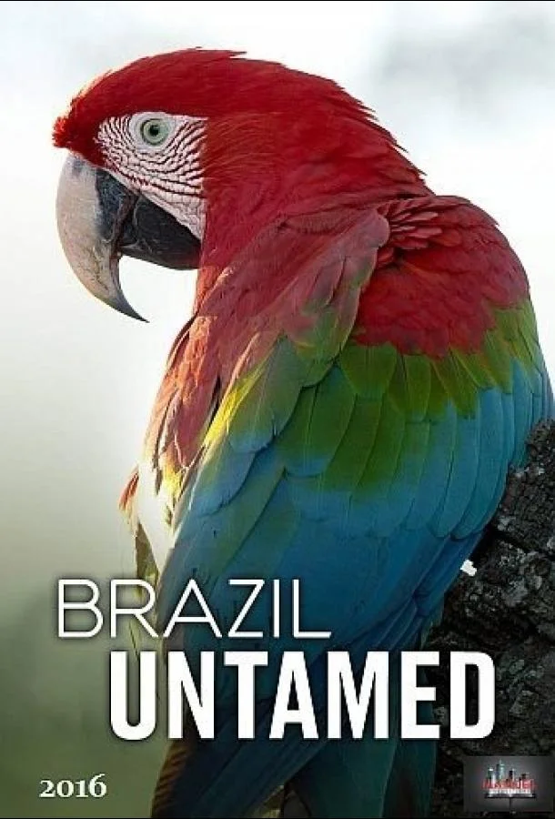 Дикая Бразилия (1 сезон)