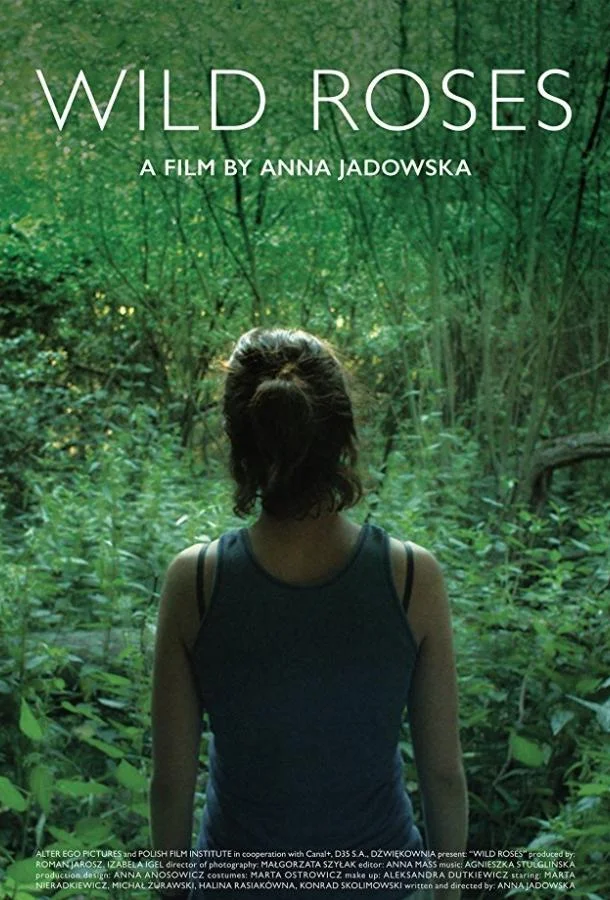 Постер к Дикие розы (2017)